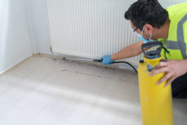 Professional Pest Control in Encinitas, CA