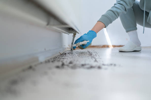 Best Pest Removal Services  in Encinitas, CA